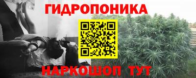 винт Дмитров