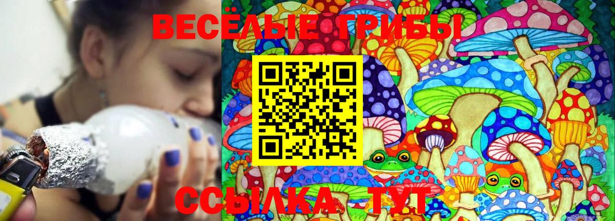 Псилоцибиновые грибы MAGIC MUSHROOMS Белая Калитва