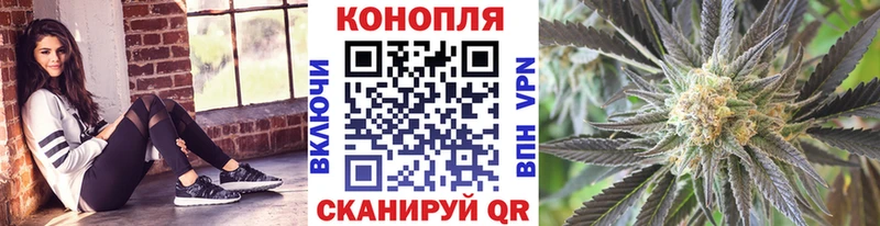 Каннабис планчик  закладка  Белая Калитва 